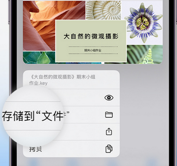 郧西apple维修中心分享iPhone文件应用中存储和找到下载文件