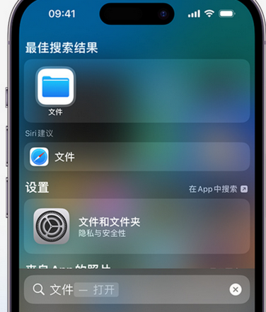 郧西apple维修中心分享iPhone文件应用中存储和找到下载文件