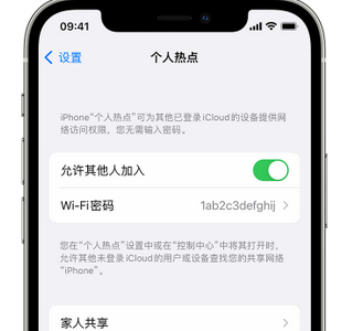 郧西apple服务站点分享iPhone上个人热点丢失了怎么办 