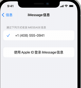 郧西apple维修iPhone上无法正常发送iMessage信息 