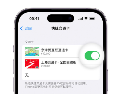 郧西apple维修点分享iPhone上更换Apple Pay快捷交通卡手绘卡面 