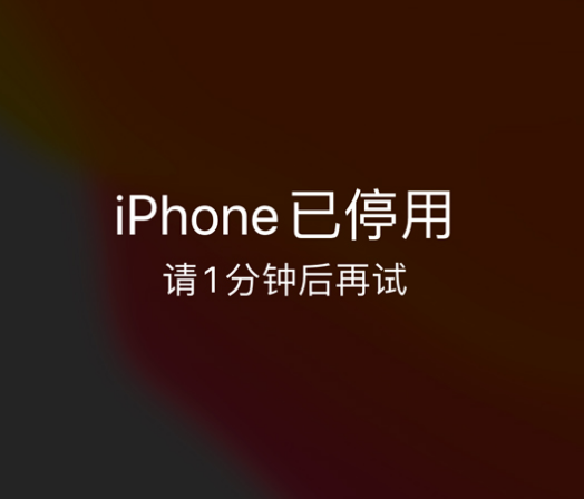 郧西苹果手机维修分享:iPhone 显示“不可用”或“已停用”怎么办？还能保留数据吗？ 