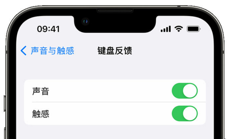 郧西苹果手机维修分享iPhone 14触感键盘使用方法 