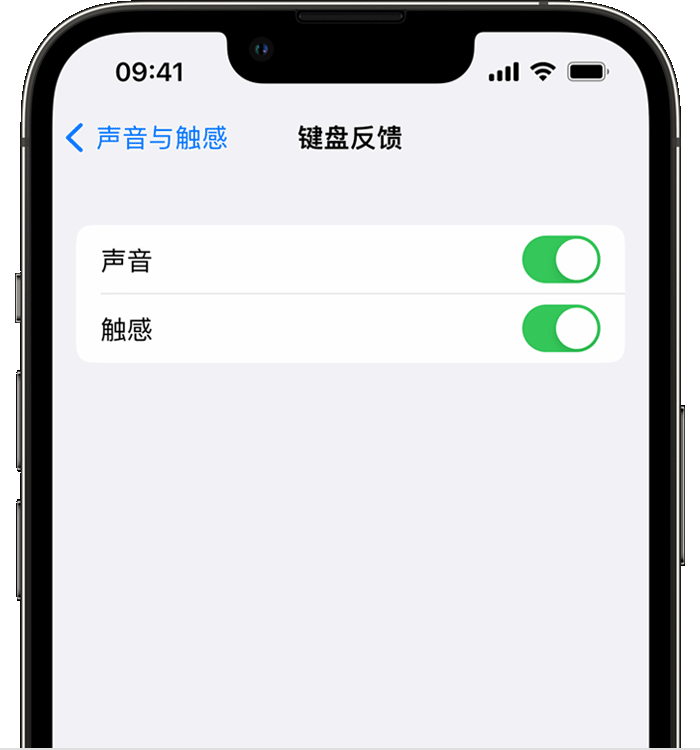 郧西苹果14维修店分享如何在 iPhone 14 机型中使用触感键盘 