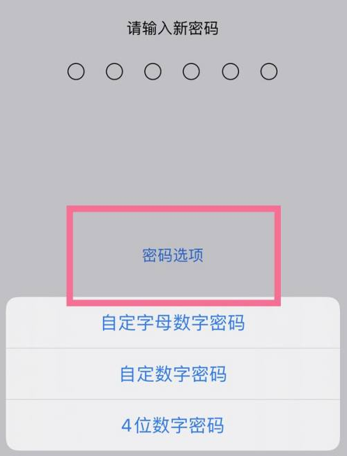 郧西苹果14维修分享iPhone 14plus设置密码的方法 