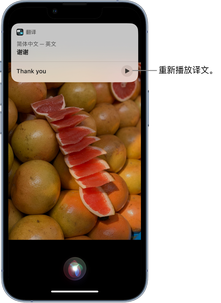 郧西苹果14维修分享 iPhone 14 机型中使用 Siri：了解 Siri 能帮你做什么 