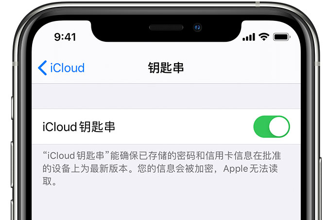 郧西苹果手机维修分享在 iPhone 上开启 iCloud 钥匙串之后会储存哪些信息 