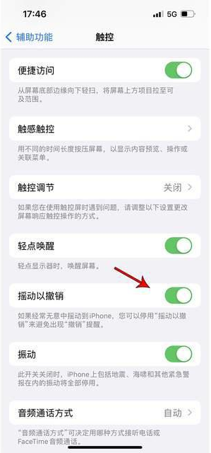 郧西苹果手机维修分享iPhone手机如何设置摇一摇删除文字 