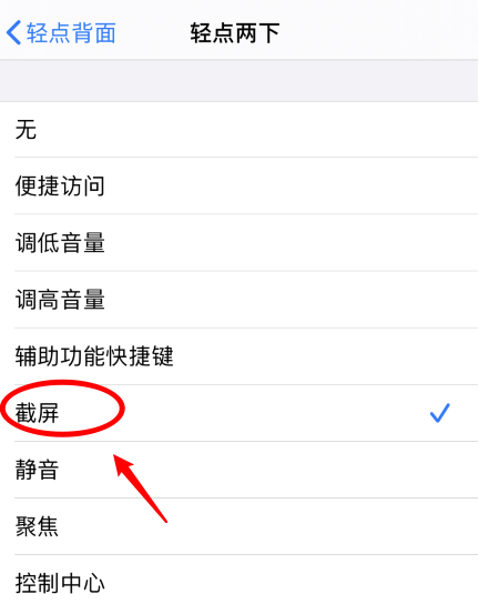 郧西苹果手机维修分享iPhone12如何启用双击截屏 